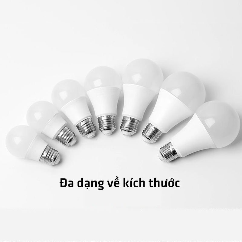Bóng Đèn Led, Bóng Đèn Tiết Kiệm Điện Siêu Sáng PAPAA.HOME
