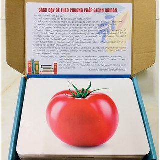 [XẢ HÀNG] THẺ HỌC THÔNG MINH SONG NGỮ 15 CHỦ ĐỀ LOẠI TO A5 (15X21CM)