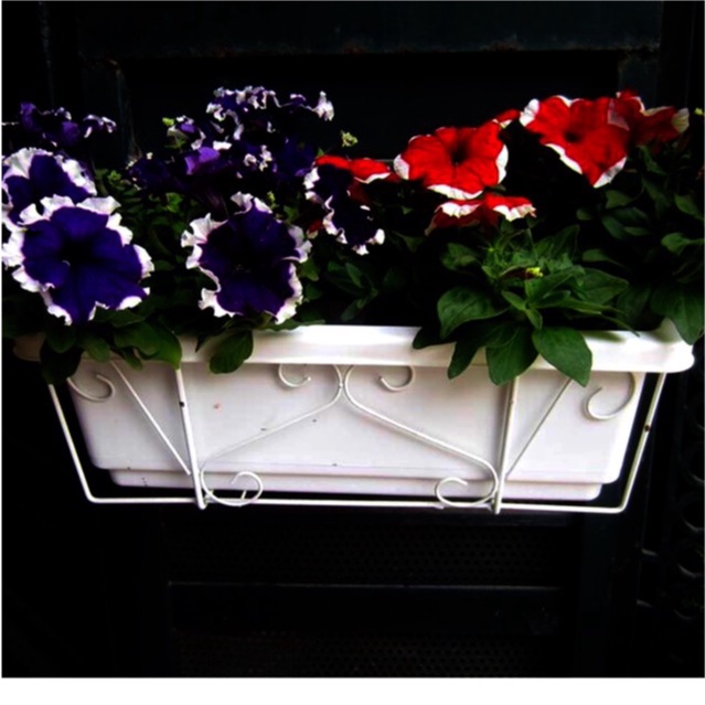 Combo Bộ Chậu dài trồng Rau, Thủy Canh, Nuôi Cá Sân Thượng, Trồng hoa kiểng (size 48: Chậu+khung+vĩ lót)