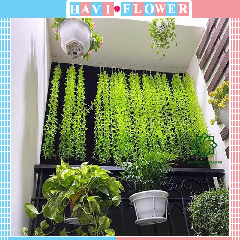 Dây leo giả - dây leo cúc tần ấn độ trang trí nhà cửa, decor của tiệm, che nắng mát mẻ