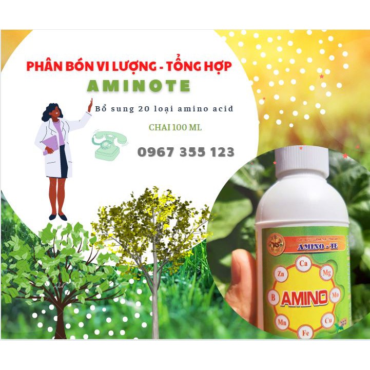 AMINO TE: TRUNG VI LƯỢNG TỔNG HỢP ( Đậm Đặc) - Chai 100ml