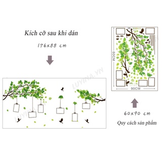 DECAL DÁN TƯỜNG COMBO GIÀN CÂY XANH