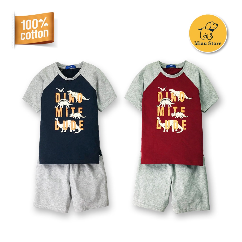 Quần Áo Trẻ Em, Đồ Bộ Bé Trai Cao Cấp, Thun Cotton 100% Cho Bé Từ 6 Tháng Đến 12 Tuổi