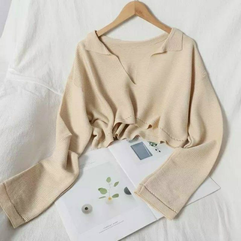 Áo thun phôm rộng Croptop Cổ V tay dài (A15)