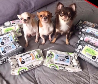 Khăn giấy ướt tắm khô kháng khuẩn cho Chó Absorb USA