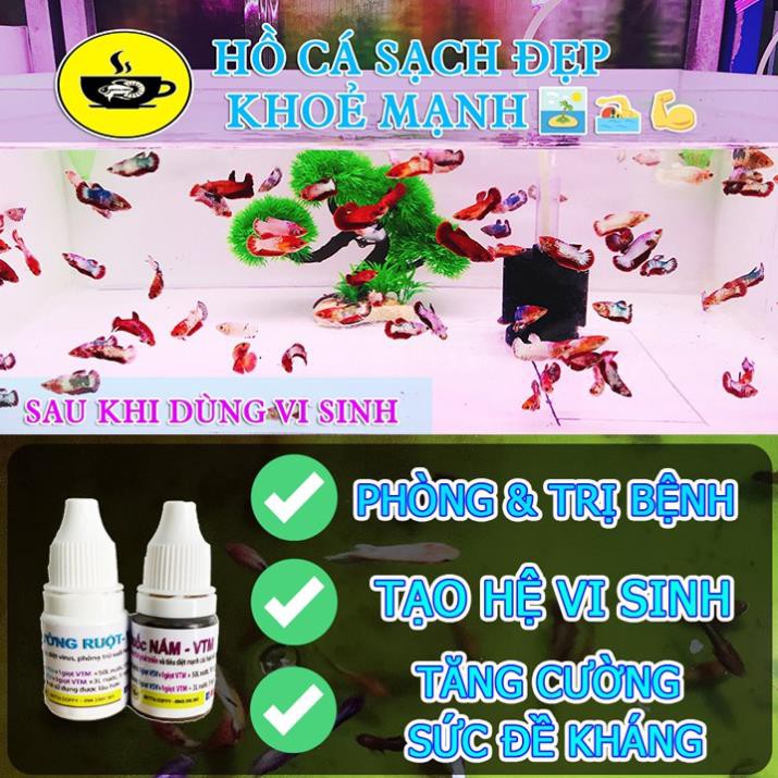 Máy Bơm Lọc Máng Hồ Cá Vipsun VS 188 - 288 - 388 - 680 - 9800 - 10800 - XEM KĨ PHÂN LOẠI