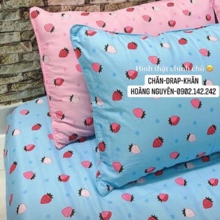 Drap cotton hàn quốc