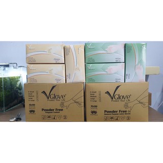 (Không bột)Thùng 10 hộp găng y tế Vglove (1000pcs)