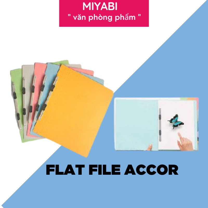 FLAT FILE - FILE BÌA 021N File Accor