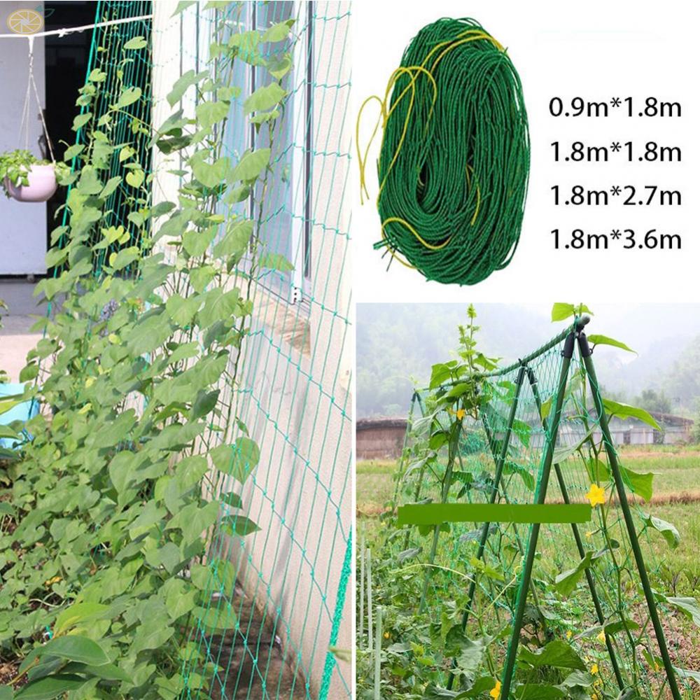 Lưới Cho Cây Dây Leo 4 Kích Cỡ