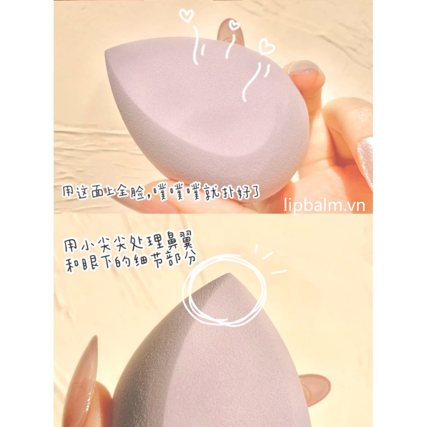 8 cái / hộp dụng cụ trang điểm trứng bọt biển đặc biệt của phụ nữ