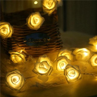 40 bông 6 mét Led Hoa Hồng trang trí tiệc