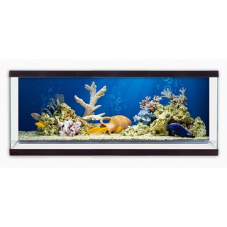 Tranh nền dán hồ cá 3D Aqua kích thước 150 x 50 nhiều mẫu