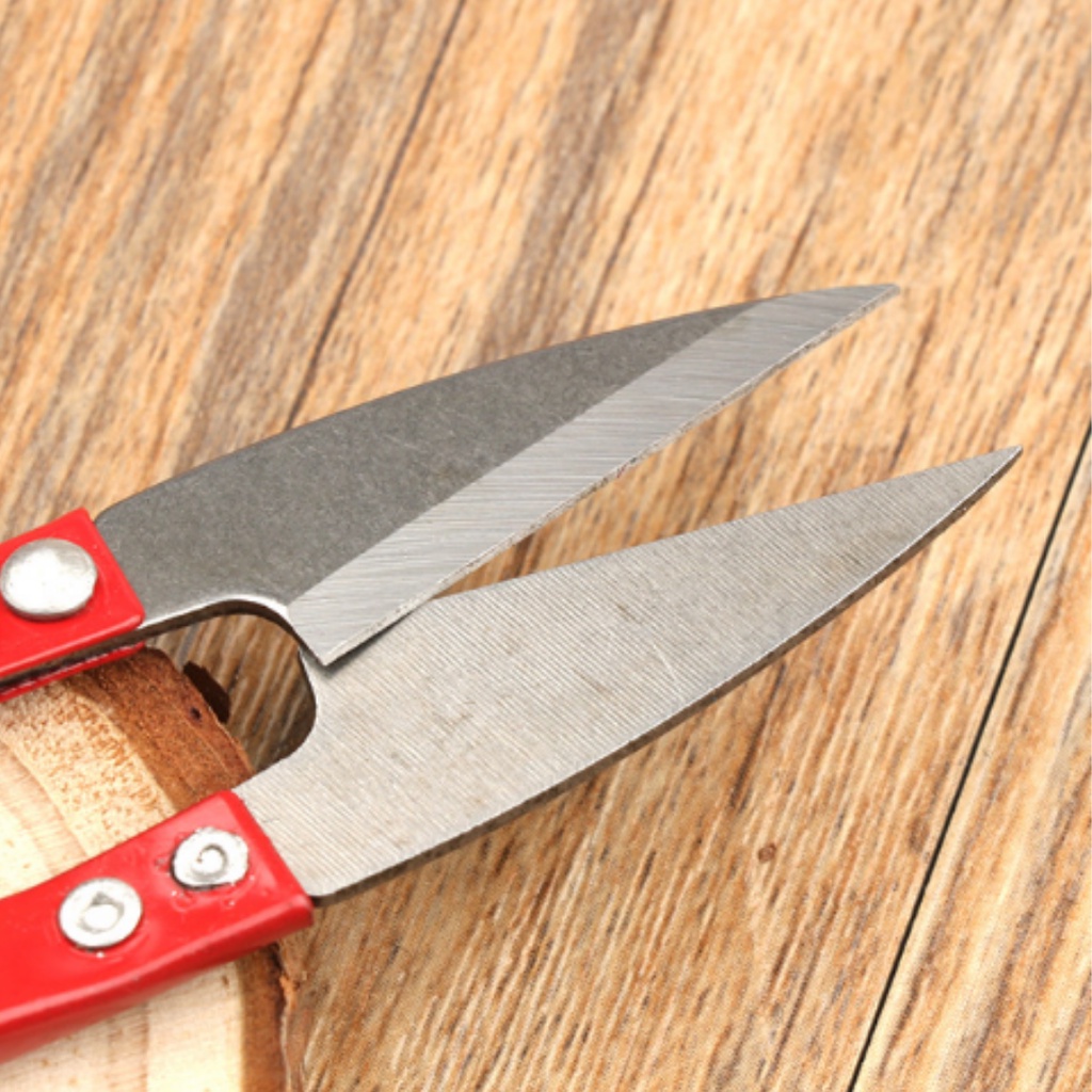 Kéo Bấm Chỉ Thép Không Rỉ, Kéo Cắt Chỉ