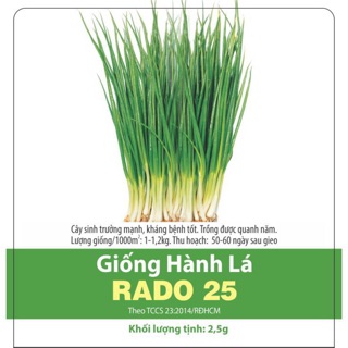 Hạt giống hành lá 25