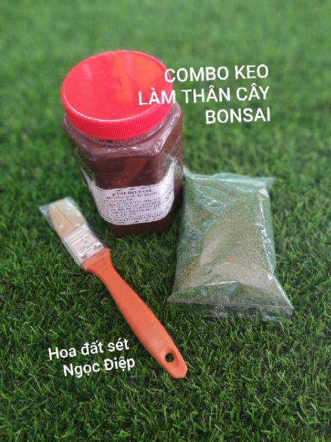 COMBO KEO LÀM THÂN CÂY BONSAI