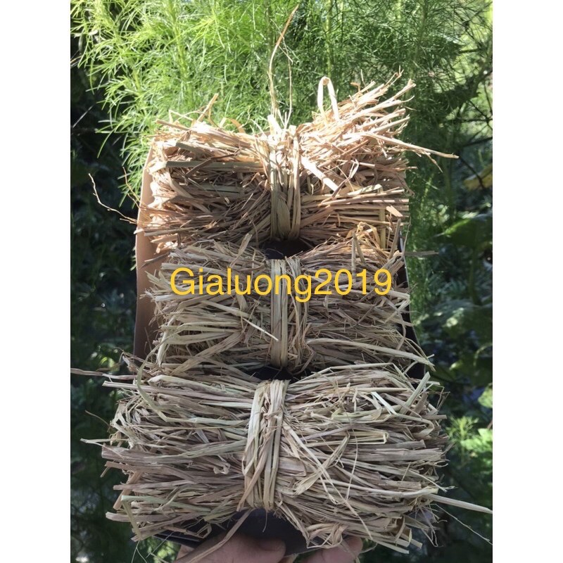 Bó rơm khô mini  mua càng nhiều giá càng rẻ
