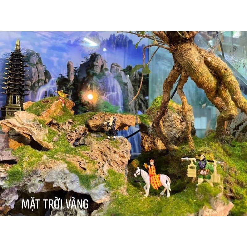 Hồ cá bán cạn Thầy trò Đường Tăng phong cách Kelsey Mặt Trời Vàng