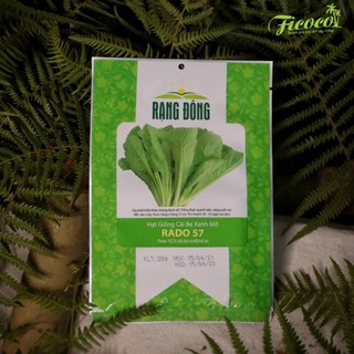 HẠT GIỐNG CẢI BẸ XANH MỠ