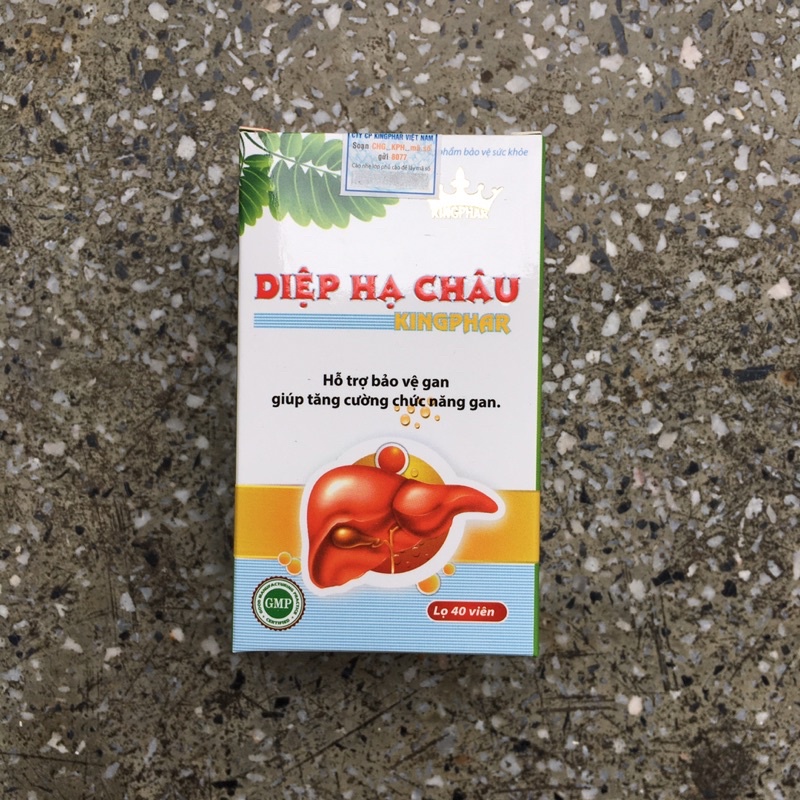 Diệp Hạ Châu - 40 viên - Kingphar
