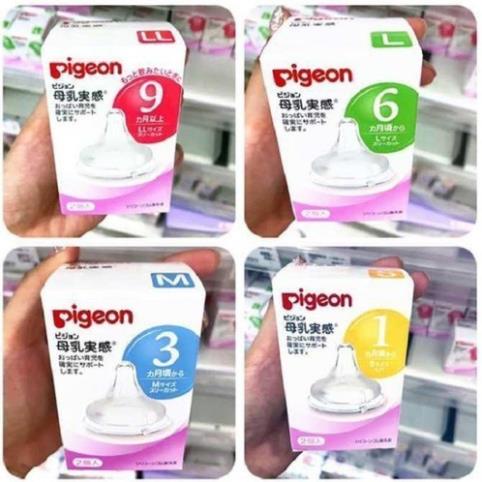Núm ti Pigeon nội địa Nhật cổ rộng (1 chiếc)