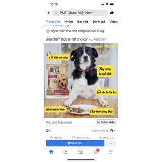 THỨC ĂN CHO CHÓ LỚN TONY’S DOG 400g
