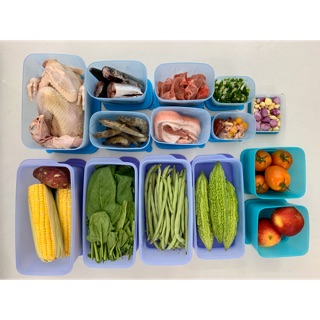 Hộp trữ đông và trữ mát hoàn hảo Mega 13 Tupperware (set 13 hộp tặng 1 hộp 150ml)
