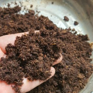 1kg PEATMOSS rêu mục, than bùn