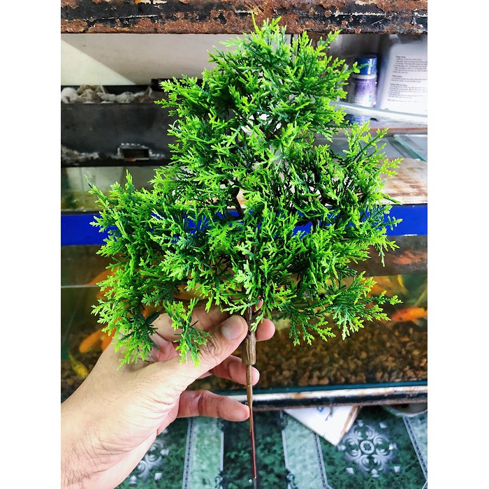 NHÁNH THÔNG GIÁ TRANG TRÍ NHÀ CỬA HỒ CÁ TIỂU CẢNH NON BỘ DÀI 30CM