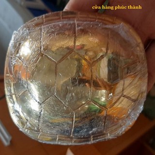 quẻ bói mai rùa vàng