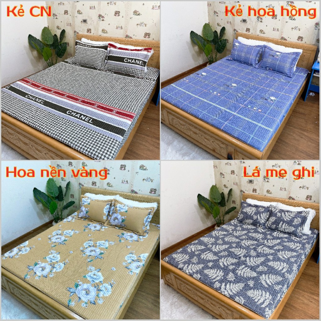 Bộ ga chun trần bông và 2 vỏ gối, ga giường cotton 100% đủ size nệm 1m2 1m4 1m6 1m8 2m2 Dreamhomedding | BigBuy360 - bigbuy360.vn