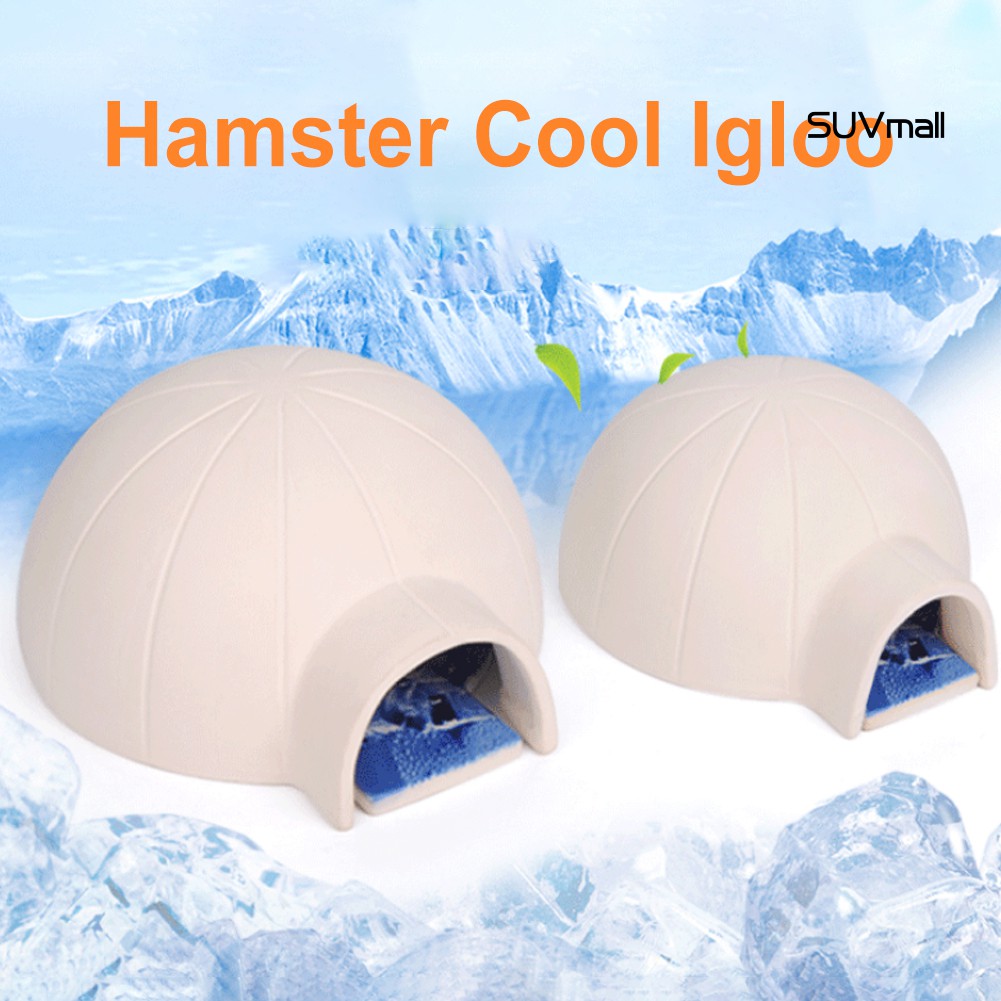 Nhà Làm Mát Bằng Gốm Dành Cho Chuột Hamster