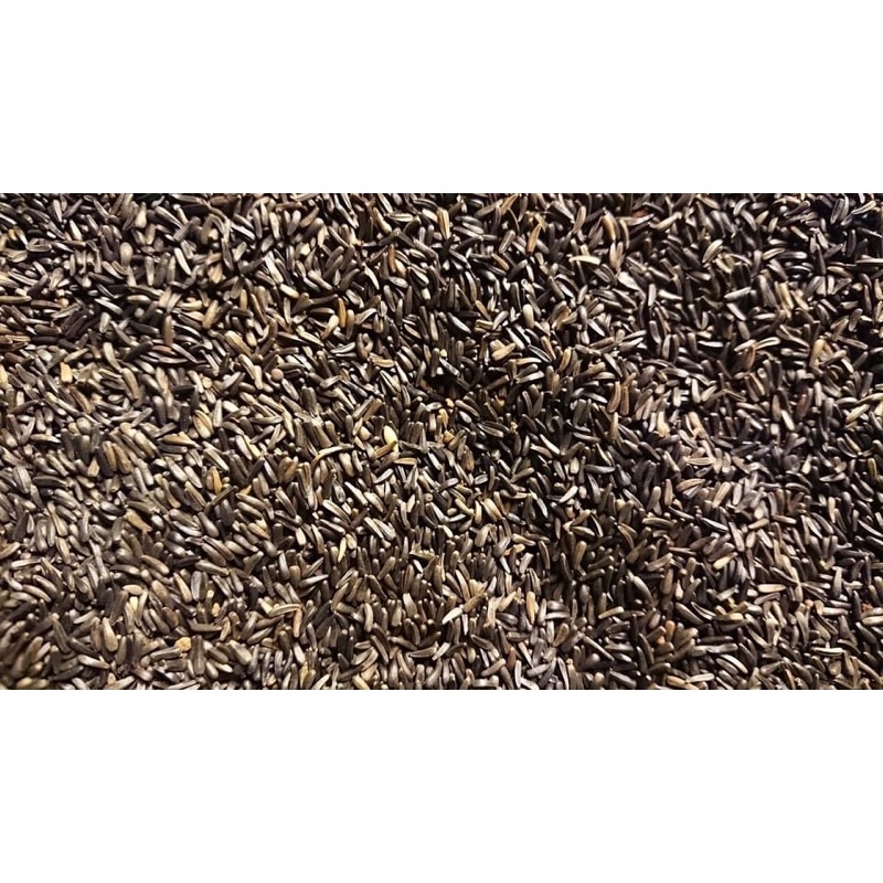 Hạt niger hàng Bỉ gói 100g