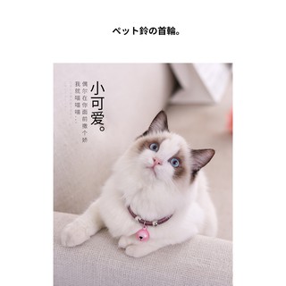 VÒNG CỔ CHARM DÀNH CHO CHÓ MÈO
