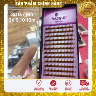 mi cong tự nhên 3 d và 4d