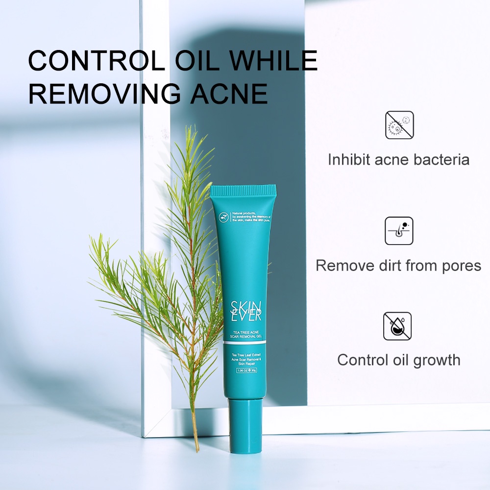 Gel làm mờ sẹo mụn SKIN EVER chiết xuất từ cây trà chăm sóc da hiệu quả 30g