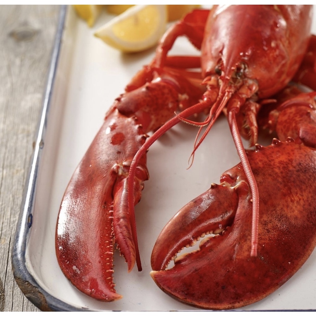 Tôm Hùm Alaska Đông Lạnh Nhập Khẩu