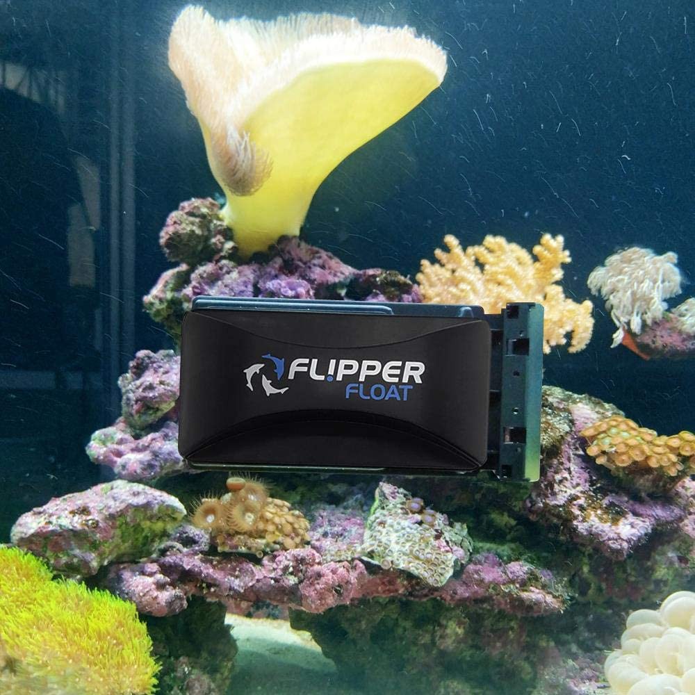 Lau kính FLIPPER FLOAT - Cọ rêu nam châm cao cấp dùng cho bể cá cảnh