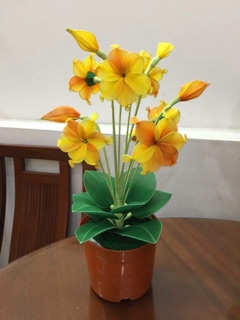 Hoa vải voan