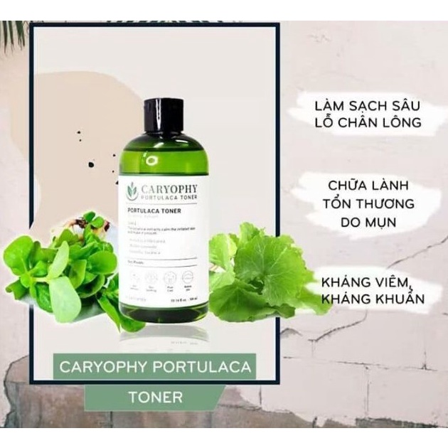 Combo 2 sản phẩm làm sạch mọi bụi bẩn giảm mụn và tẩy da chết dịu nhẹ Caryophy (Tẩy trang 300ml, Toner 300ml)