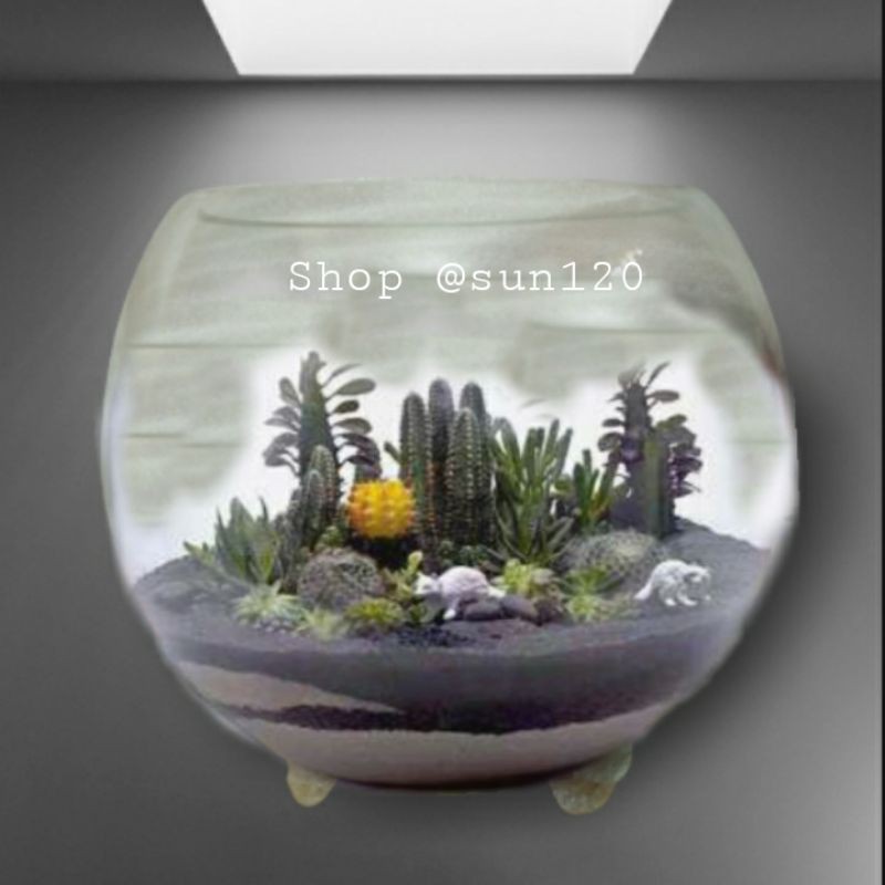 Bể cá thuỷ tinh tròn dày dặn có chân size 14x19 cm trồng cây thả hoa thả cá DD9