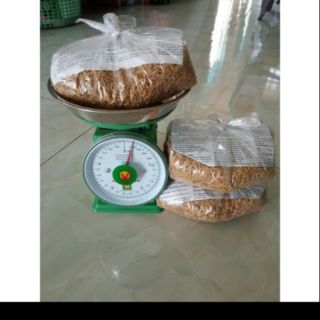 200g trấu sống dùng trộn vào đất trồng