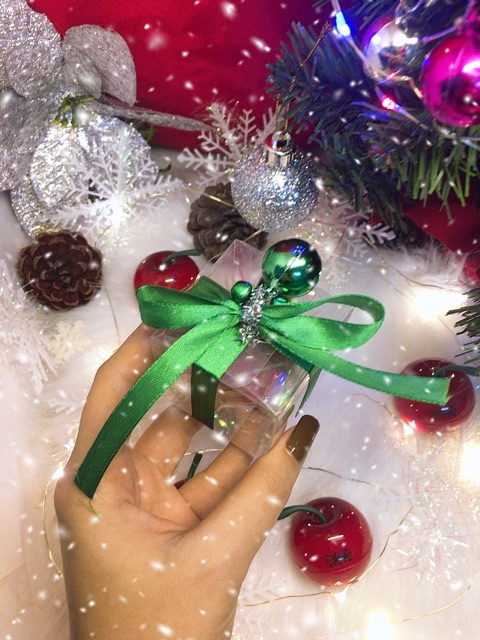 Tẩy Tế Bào Chết Môi Phiên Bản Noel Xanh Lá (Handmade)