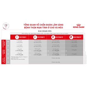 [CHÍNH HÃNG] [DATE XA] Thức Ăn Cho Mèo Bị Suy Thận ROYAL CANIN RENAL (2Kg)