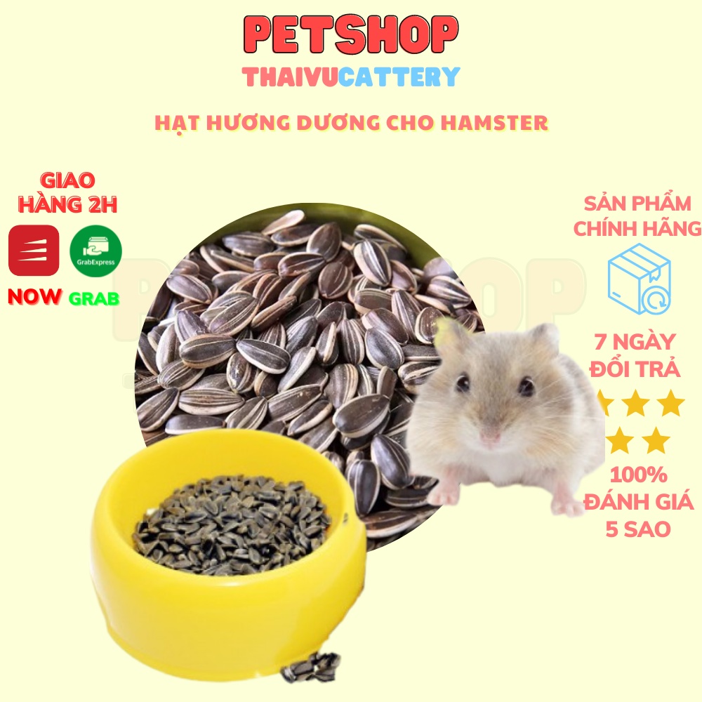 Hạt hướng dương cho Hamster