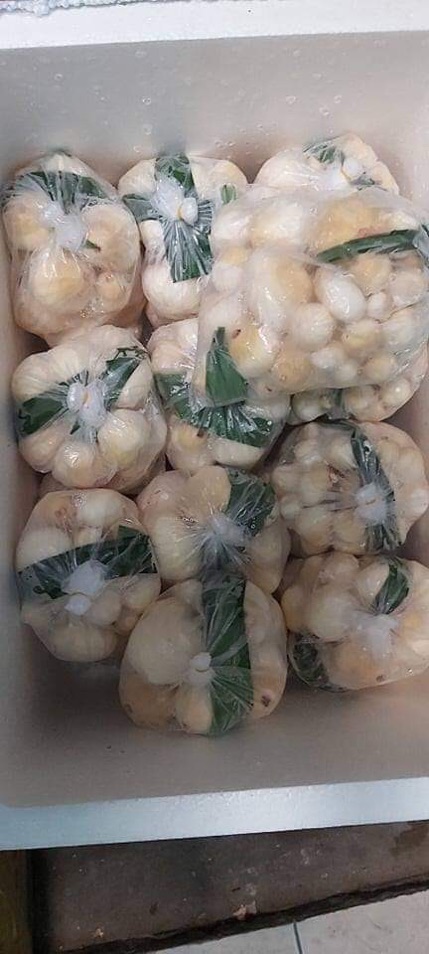 Mộng Dừa Tươi  -1 kí- Ship Tp. HCM