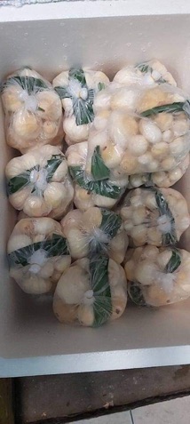 [ Siêu Hot] Mộng Dừa Tươi Bến Tre - 1 kg