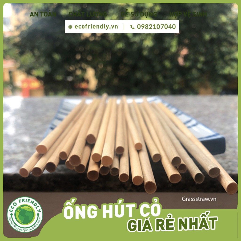 Ống hút cỏ bàng (Grass straws) Hộp 100 ống dài 20 cm - Hàng xuất khẩu đi Mỹ - Dùng được cho tất cả các loại thức uống