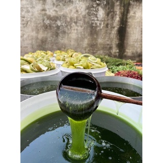 Dầu gội bưởi rừng 500ml