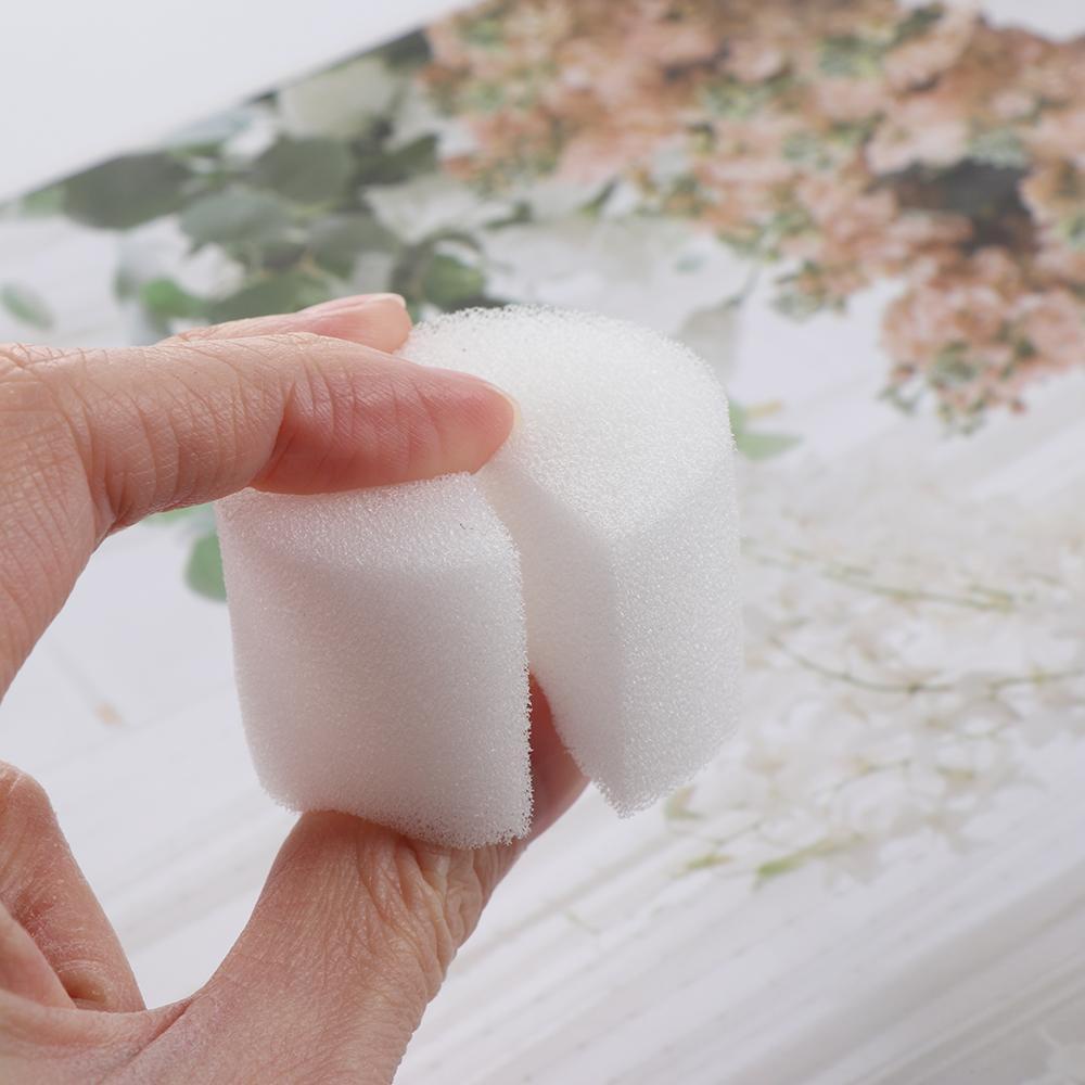 WTTLE 10 / 50 Khay Xốp Trồng Cây Thủy Sinh